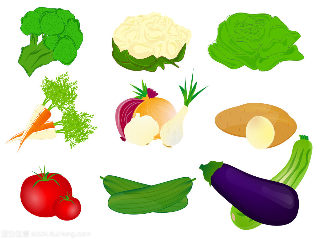 矢量图的不同的蔬菜