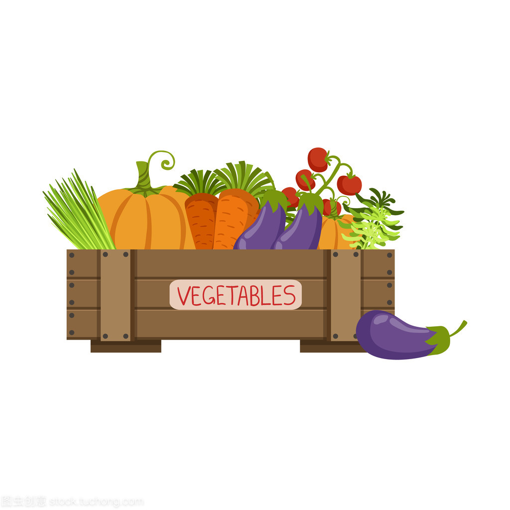 满箱的新鲜蔬菜