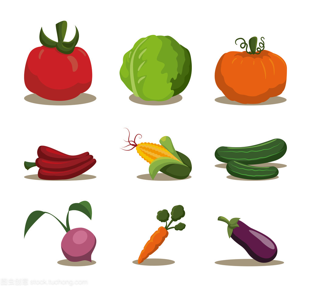 蔬菜设计